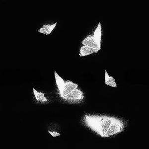 在线观看A片无码一区二区
